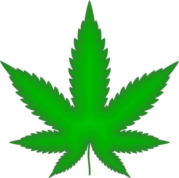 weed
