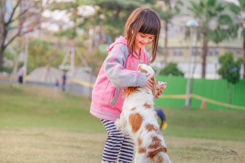 pets