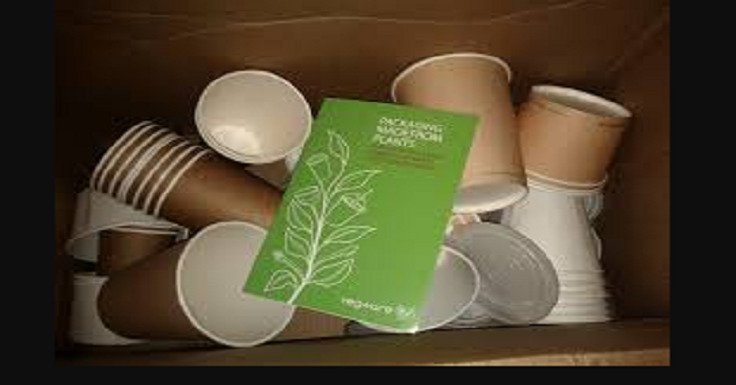 Reasons Why Business Need to Use Compostable Packaging