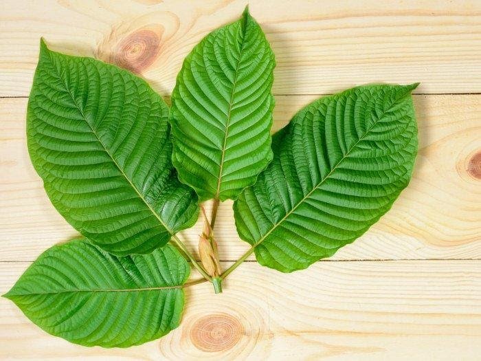 Kratom For Depression: Few Important Things You Need To Know