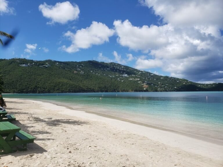 Things to explore in Kingston, Jamaica