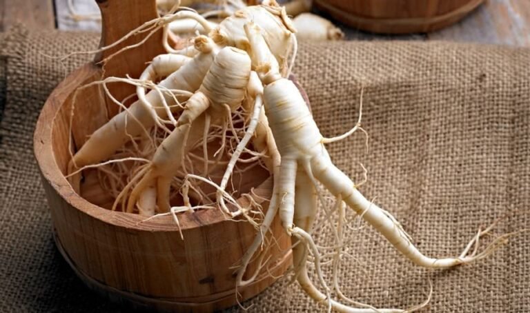 Health Benefits of Ginseng
