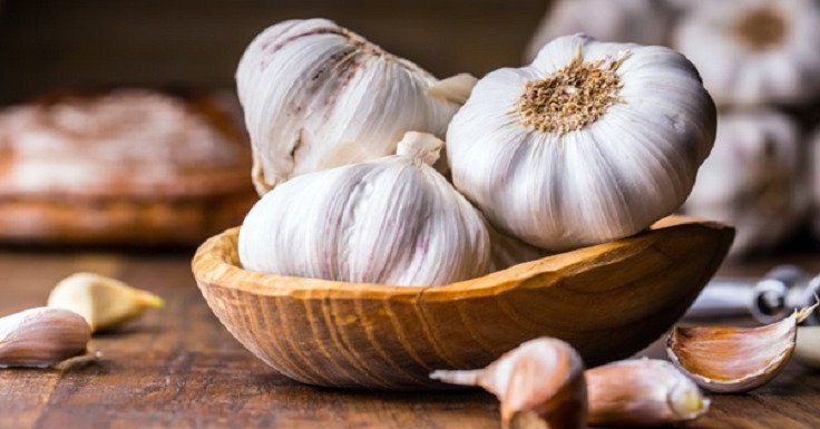 Benefits of Garlic For Health