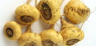 Benefits of Maca for Healthy Life Style