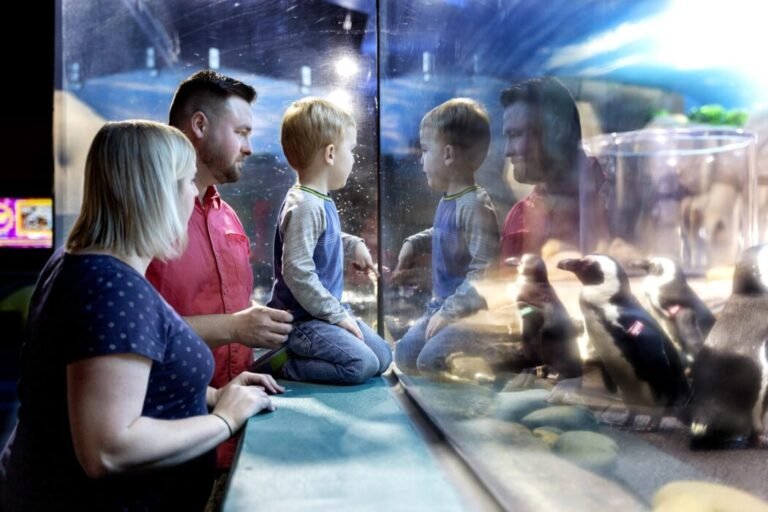 Family-Friendly Educational Experiences in Myrtle Beach
